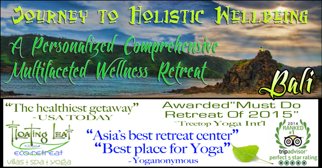 personal journey to holistic wellbieng