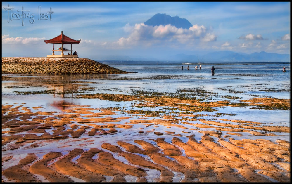 Bali Photo of the Day Sanur  Beach Floating Leaf villa 