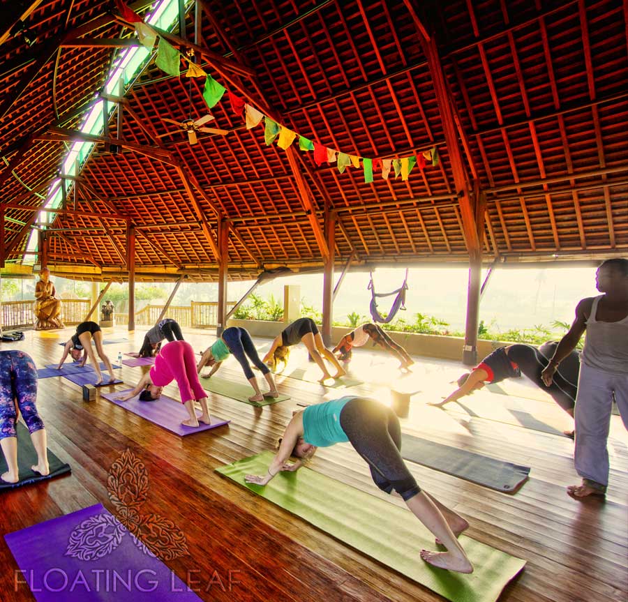 Lauren Rudick Bali Yoga retreat