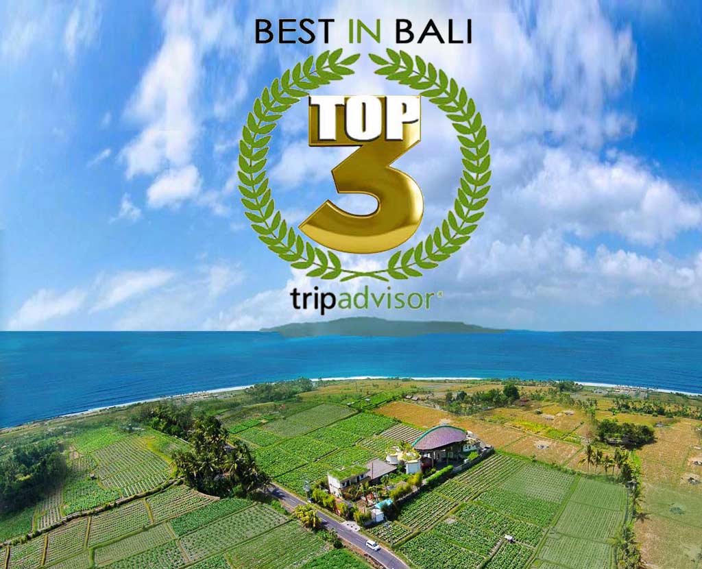 Best hotel in Bali