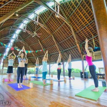 Join an upcoming Retreat at Floating Leaf Bali Retreat Center