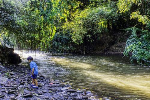 The Petanu River runs through The Bodhi Leaf's backyard