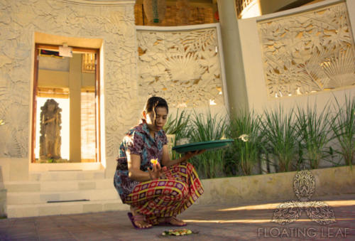 Eco-Bali-morning-offerings-2